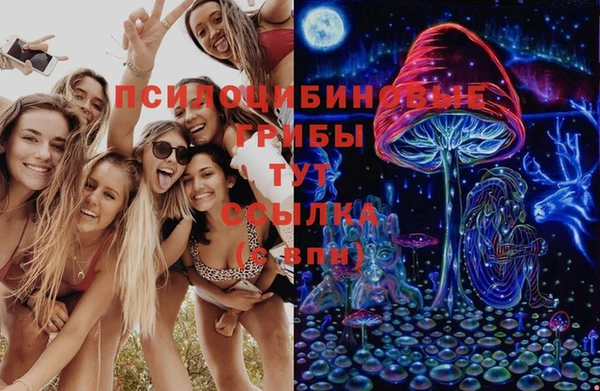 СК Абдулино