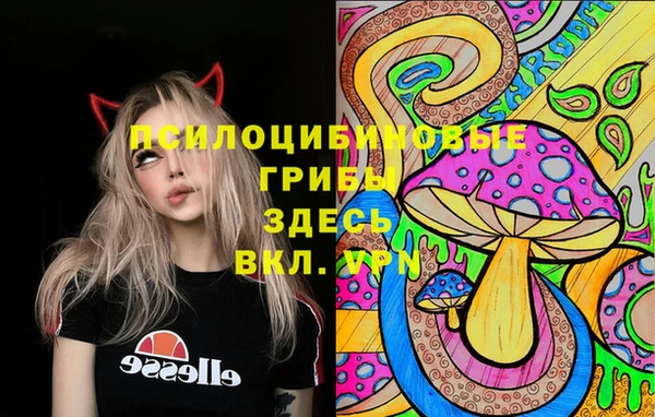 СК Абдулино