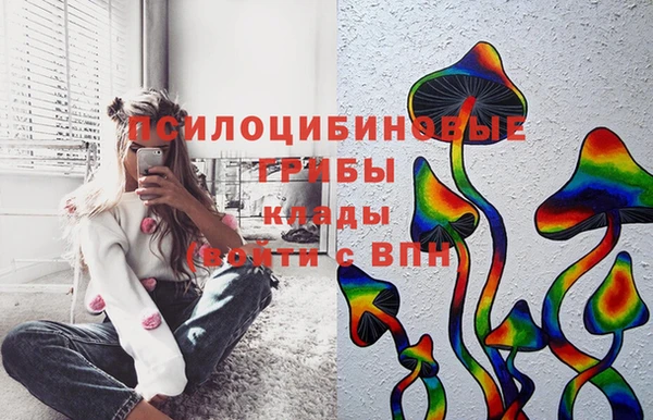 СК Абдулино