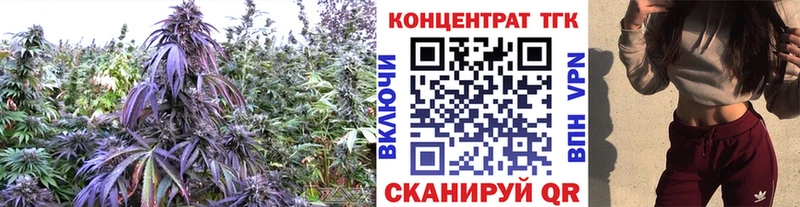 ТГК концентрат Иркутск