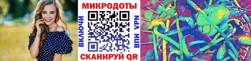 Псилоцибиновые грибы Psilocybine cubensis  наркошоп  Иркутск 