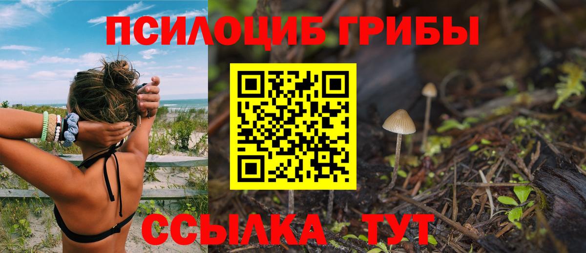 Псилоцибиновые грибы GOLDEN TEACHER Иркутск