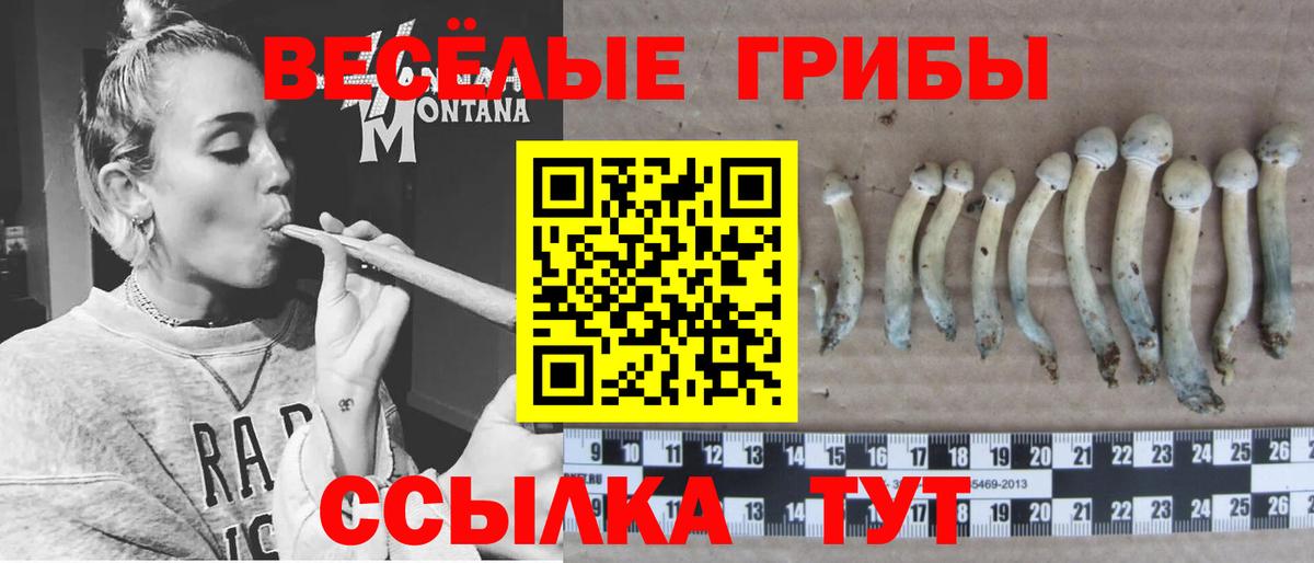 Иркутск  как найти закладки  Вход с VPN  Псилоцибиновые грибы MAGIC MUSHROOMS 