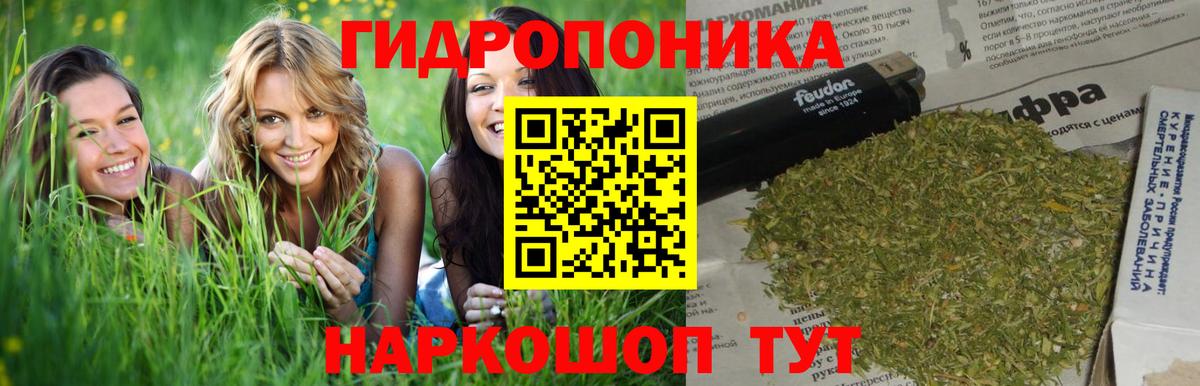 Бошки Шишки гибрид  Марихуана план  Вход с VPN  Бошки марихуана индика  Иркутск 